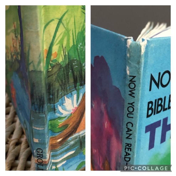 "The Creation" Book - Adam and Eve - Kid's Book - Religion - Bible Stories - Picture 9 of 10